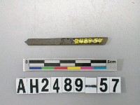 藏品(磨製石針)的圖片